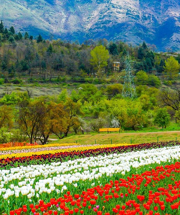 Panoramic Dhauladhar mountain range view in Dharamshala for Him Yatra Travel tour packages