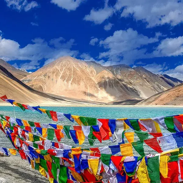 Leh Ladakh mountain pass banner with Him Yatra Travel taxi service