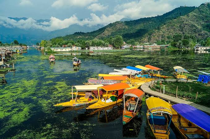 Scenic view of Dal Lake Srinagar for Him Yatra Travel Kashmir tour packages